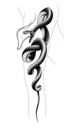 serpente gucci tatuaggio|120 ottime idee su Tatuaggio del serpente .